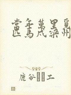 当年万里觅封侯匹马戍梁州是什么意思