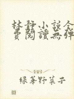 林静小说全文免费阅读无弹窗