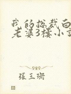 我的总裁白富美老婆3楼小说封面