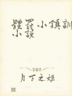 体罚小镇训诫文小说封面