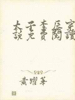 太子李辰穿越小说免费阅读封面