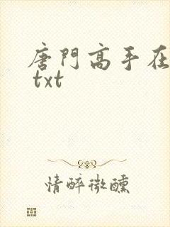 唐门高手在异世 txt