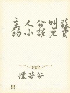 主人公叫苏铭渊的小说免费阅读