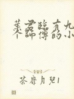 叶君临有九十九个师傅的小说