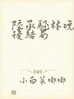 陆承骁林晚星最后结局