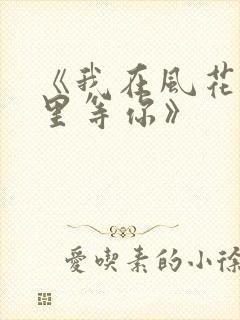 《我在风花雪月里等你》