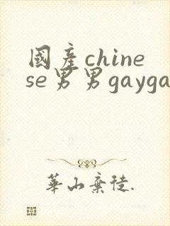 国产chinese男男gaygay网站在线观看