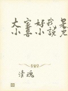 大家好我是叫林小喜小说免费阅读封面