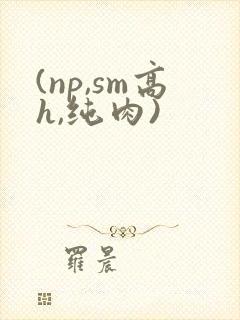 (np,sm高h,纯肉)