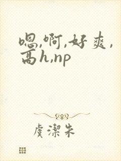 嗯,啊,好爽,高h,np