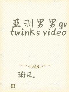 亚洲男男gv twinks video