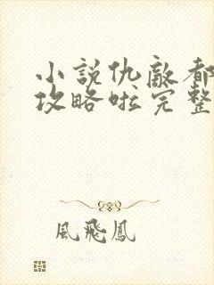 小说仇敌都被我攻略啦完整版未删减小说