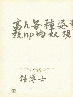 高h各种姿势调教np肉奴视频