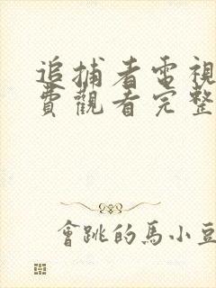 追捕者电视剧免费观看完整版高清封面