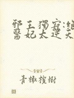 邪王独宠:绝色医妃太逆天