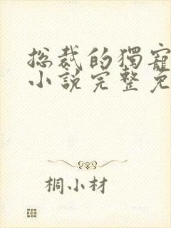 总裁的独宠甜妻小说完整免费