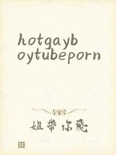 hotgayboytubeporn封面