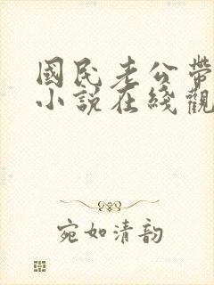 国民老公带回家小说在线观看