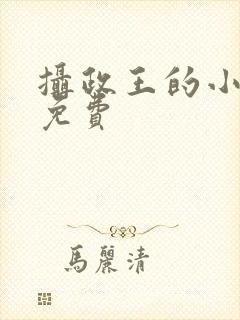 摄政王的小闲妻免费