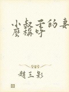 小叔子的妻子怎么称呼