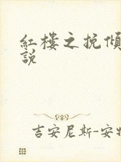 红楼之挽倾天小说