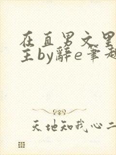 在直男文里撩男主by辞e笔趣阁在线阅封面