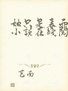 她只是表面清纯小说在线阅读