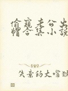 偷窥老公出轨绿帽合集小说