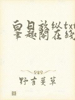 白日放纵txt笔趣阁在线阅读