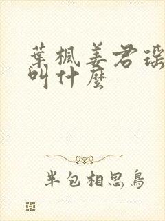 叶枫姜君瑶小说叫什么