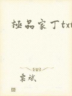 极品家丁txt