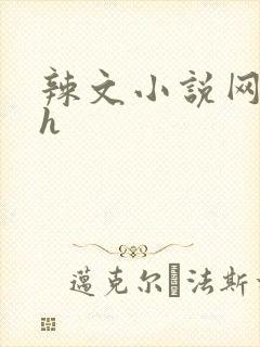 辣文小说网站高h