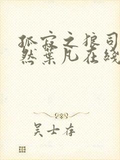 孤寂之狼司空嫣然叶凡在线观看封面