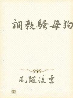 调教骚母狗被艹