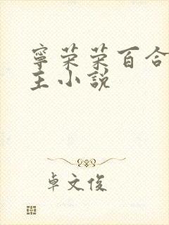 宁荣荣百合双女主小说