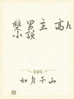 双男主 高h 小说