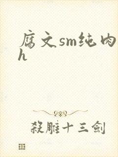 腐文sm纯肉高h