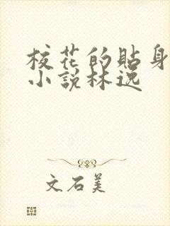 校花的贴身高手小说林逸