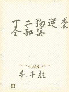 丁二狗逆袭人生全部集