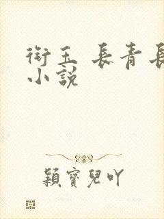 衔玉 长青长白小说封面