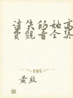 消失的她高清免费观看全集电视剧