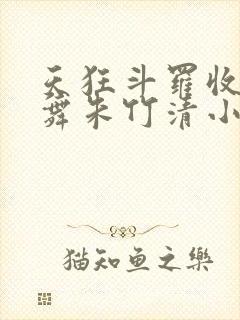 天狂斗罗收服小舞朱竹清小说