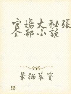 官场大秘张向阳全部小说