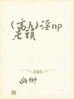 (高h)淫np老头封面