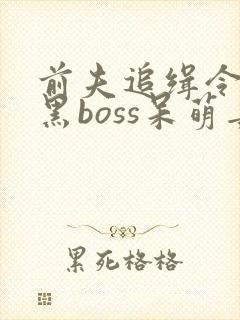 前夫追缉令:腹黑boss呆萌妻 小说