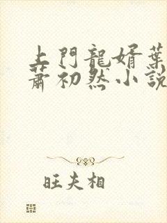 上门龙婿叶辰和萧初然小说