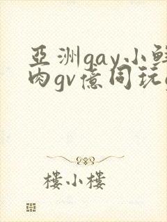 亚洲gay小鲜肉gv亿同玩gv