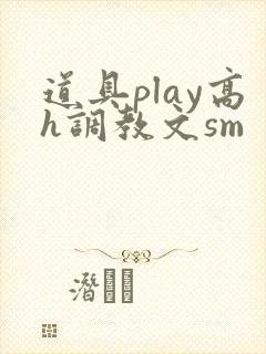 道具play高h调教文sm