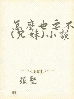 怎么也要不够她(兄妹)小说