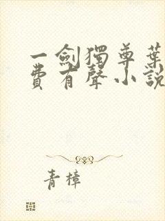 一剑独尊叶玄免费有声小说